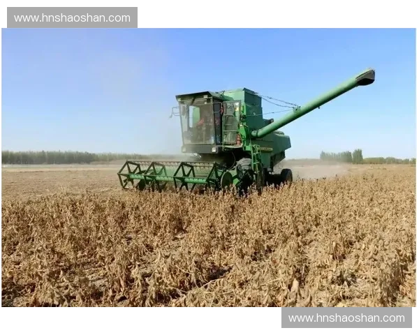 围绕中协杯赛程表解析全年赛事动态与球队表现深度展望趋势前瞻篇 围绕中协杯赛程表解析全年赛事动态与球队表现深度展望趋势前瞻篇